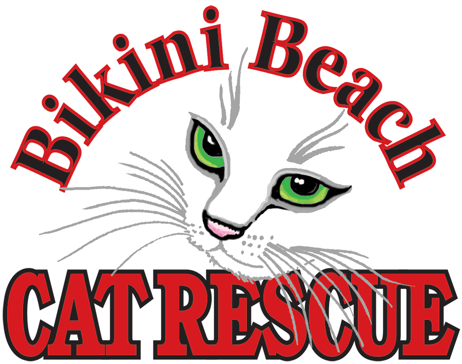 Bikini Beach Cat Logo