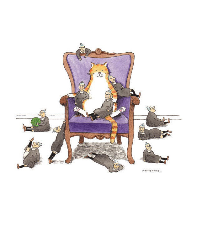 Crazy-Cat-Lady-1 Crazy-Cat-Lady-1